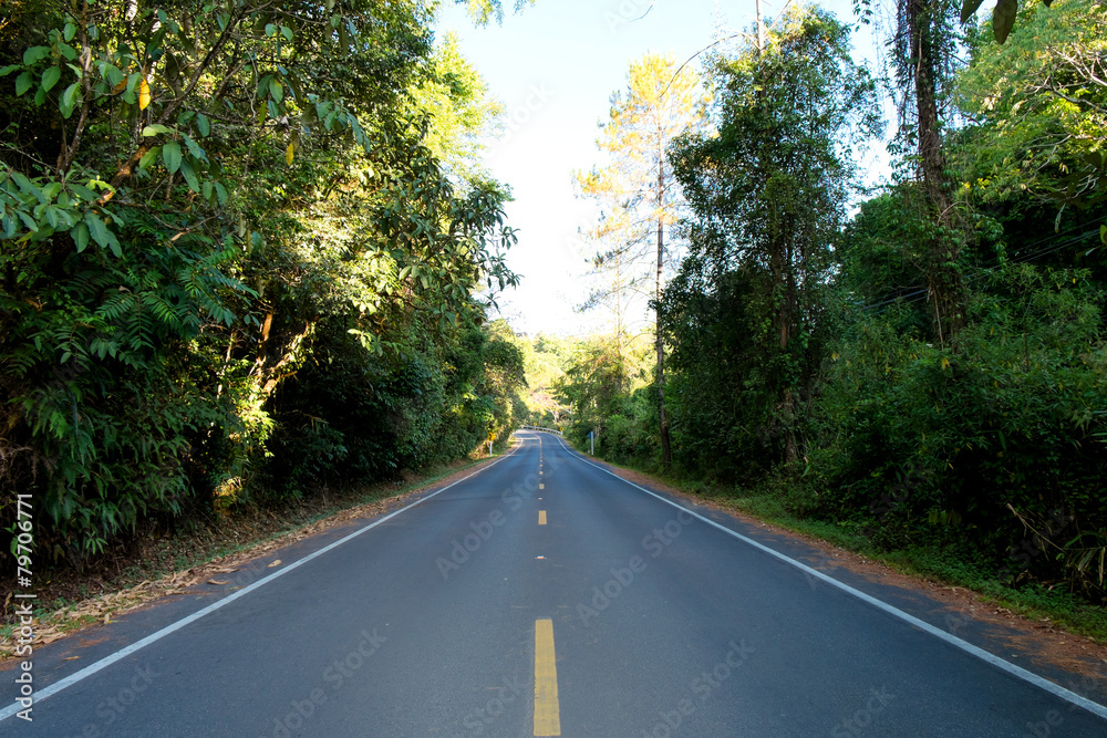 Fototapeta premium Beautiful Mountain Road with sunlight, Curve road