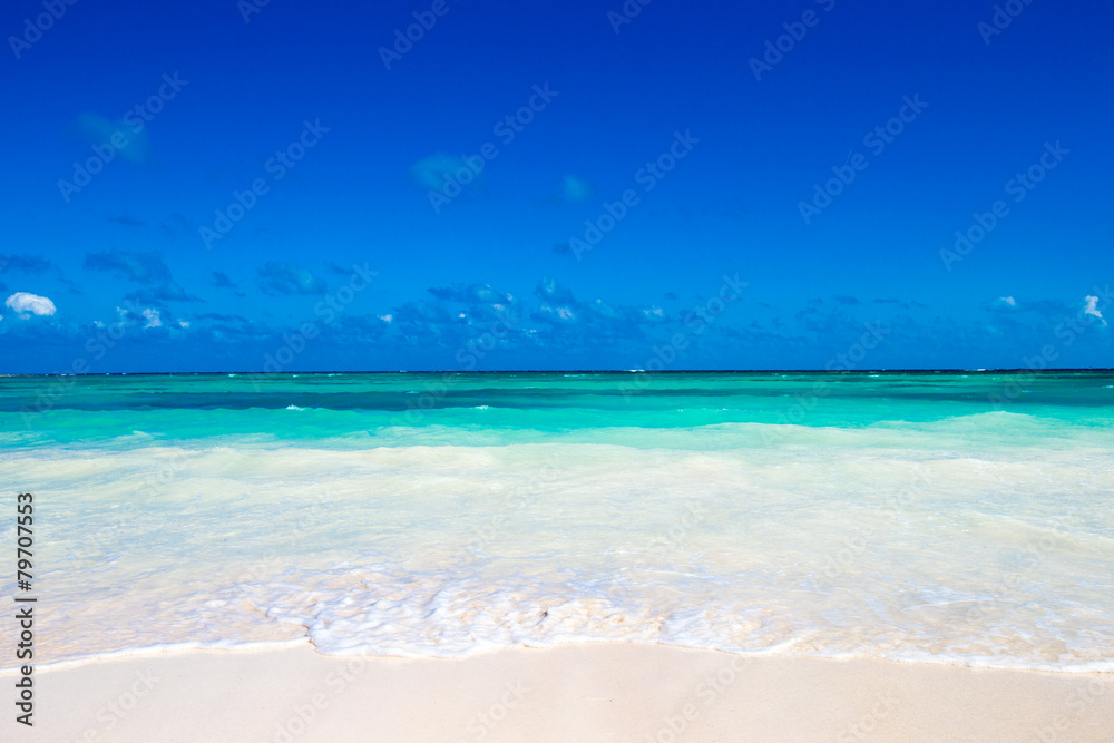 sea sea