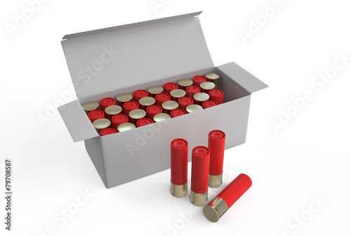 Canvas Print shotgun shells in box