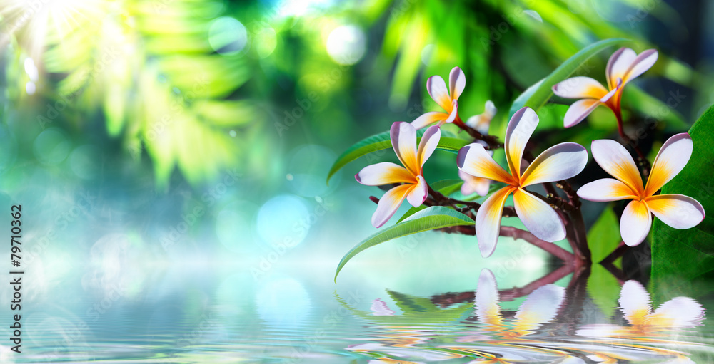 zen garden with frangipani and vapour on water - obrazy, fototapety, plakaty 