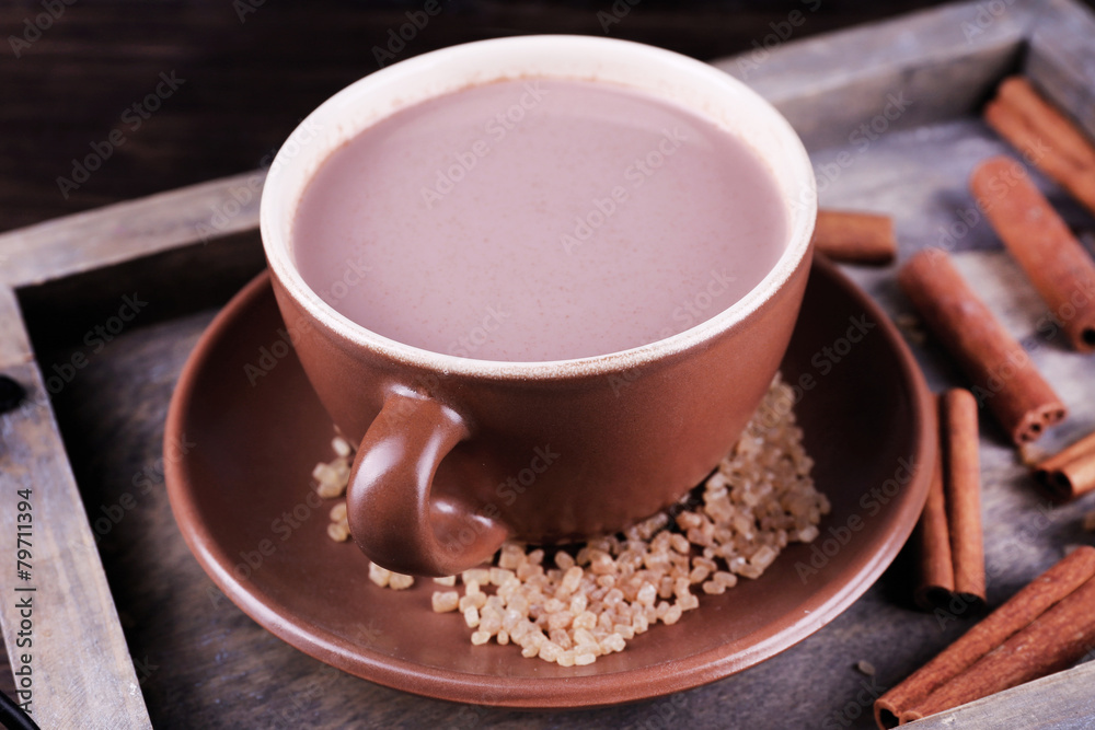 Cup of cocoa with sugar and cinnamon on wooden tray, closeup Cup of cocoa with sugar and cinnamon on wooden tray, closeup