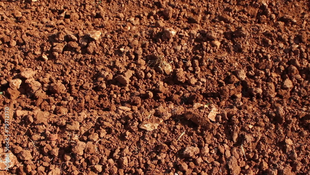 Red soil