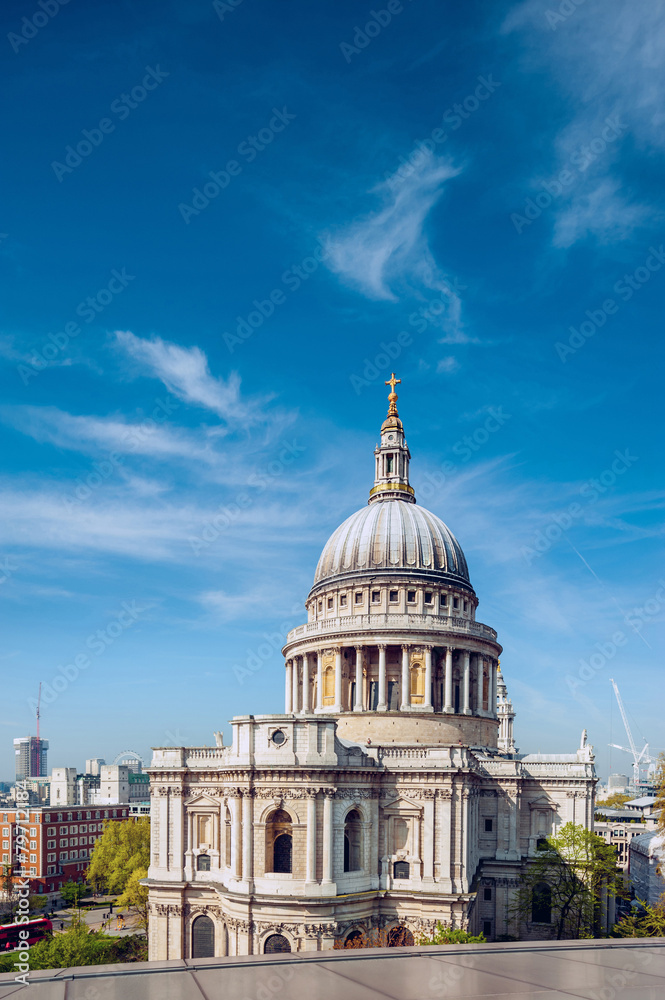 Obraz premium St. Paul's Cathedral, London, UK