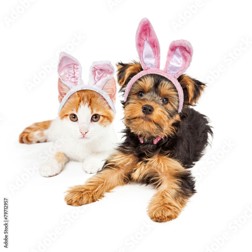 Canvas Print Easter Bunny Yorkshire Puppy and Kitten