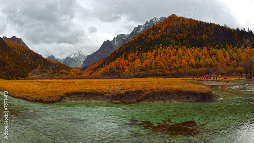 Meadow Chong Gu in Yading