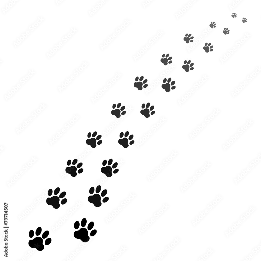 footprints of dog