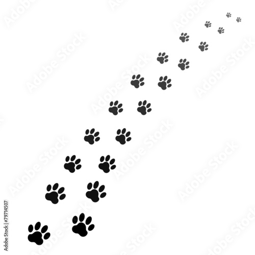 Obraz na płótnie footprints of dog w salonie
