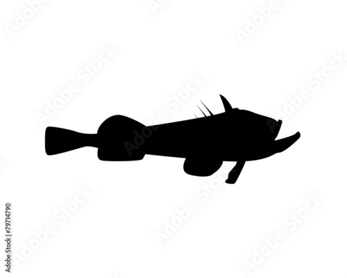 horrible fish
