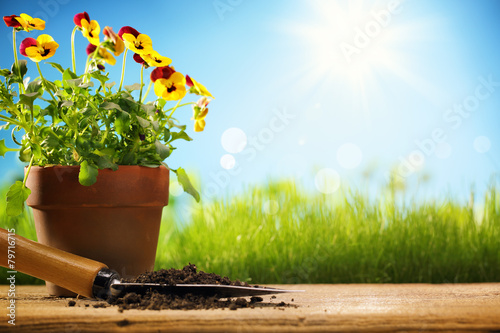 Fototapeta Naklejka Na Ścianę i Meble -  Outdoor gardening tools and flowers
