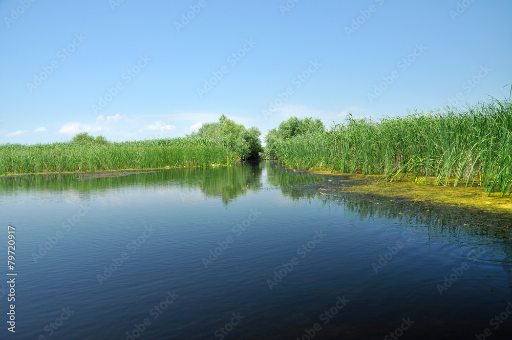 Obraz premium Water chanel in the Danube delta, Romania