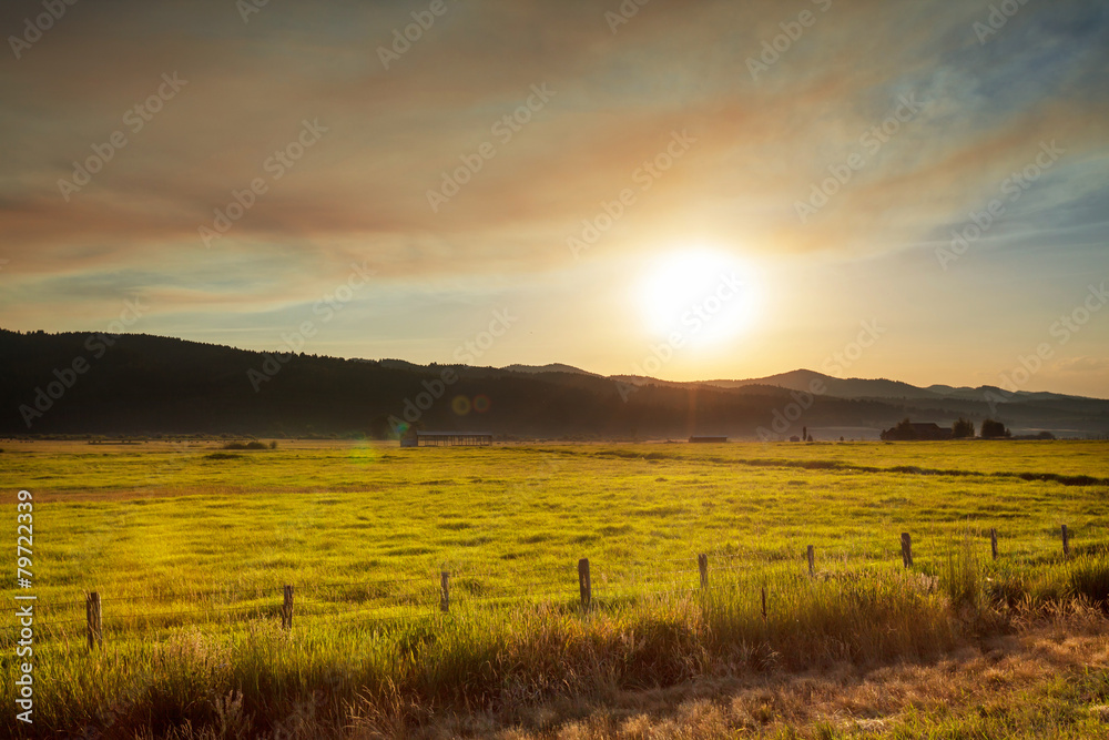 Fototapeta premium Grassland on sunset