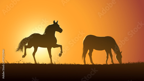 Vector illustration silhouette of grazing horses at sunset.