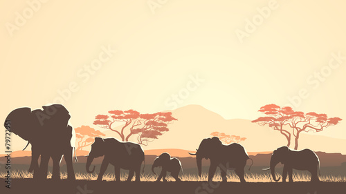 Horizontal illustration of wild animals in African sunset savann