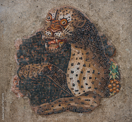 Foto Ancient mosaics at the archaeological island of Delos