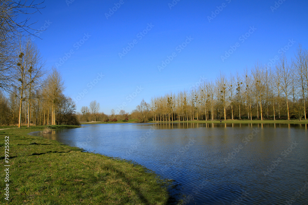 étang en Picardie