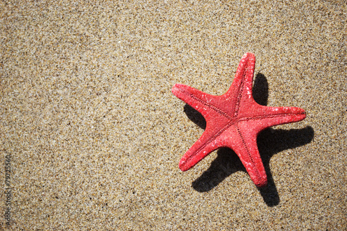 red starfish and shadow on the sand