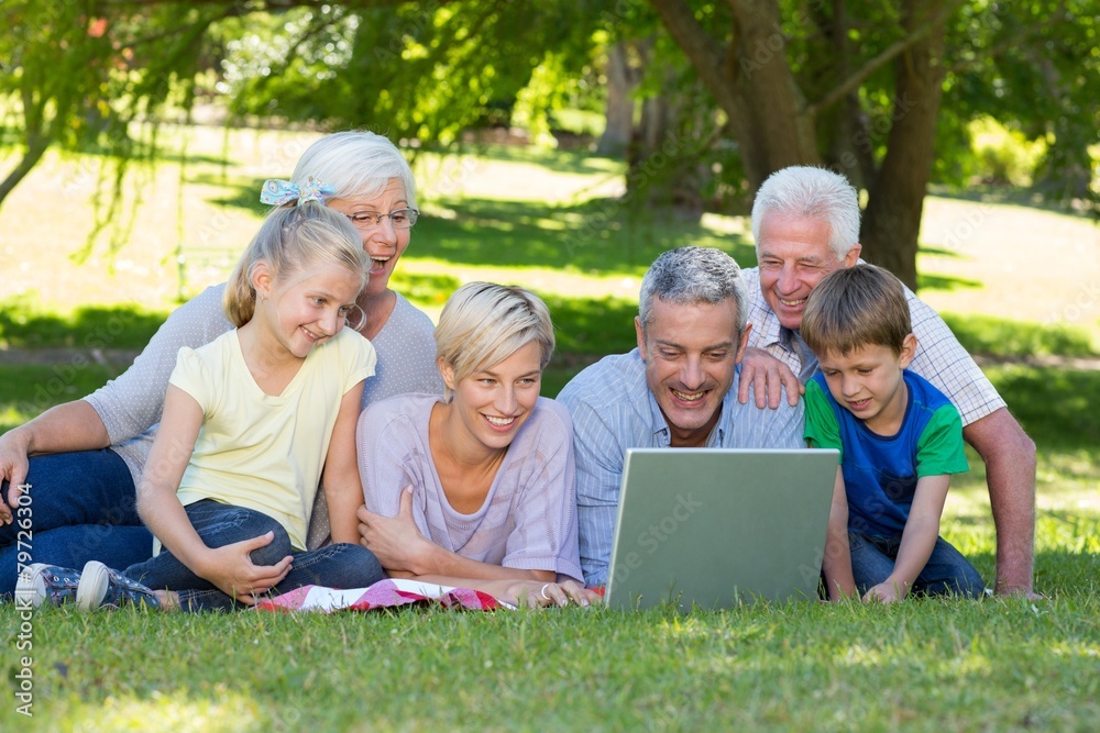 Happy family using laptop in the park