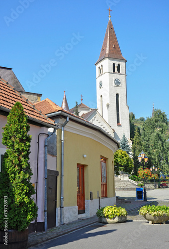 Church and old buildings in Tokaj city, Hungary