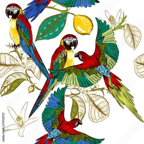 Beautiful tropical pattern with colorful parrots with lemon bran