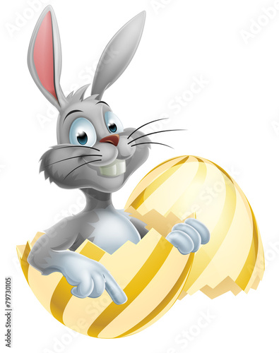 Easter Egg and White Bunny