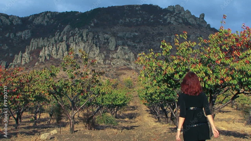 Young Woman In Black Dress Walking Towards Green Trees Young Woman In Black Dress Walking Towards Green Trees