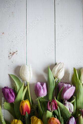 Fototapeta Naklejka Na Ścianę i Meble -  tulips