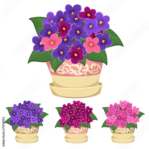 Flowers pot