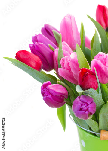 Fototapeta Naklejka Na Ścianę i Meble -  bouquet of  red and purple  tulip flowers