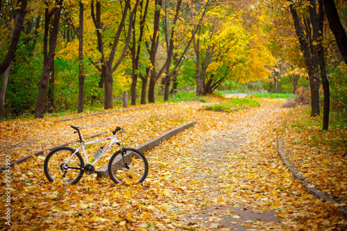 Bicycle in the autumn park