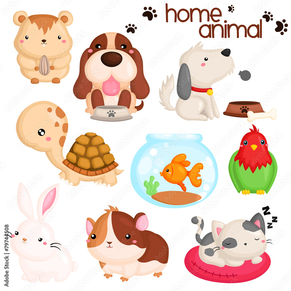Home Pet Home Pet