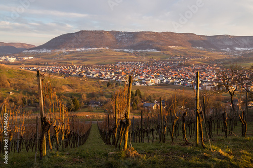Blick auf Metzingen-Neuhausen (und den Albtrauf) vom Weinberg photo