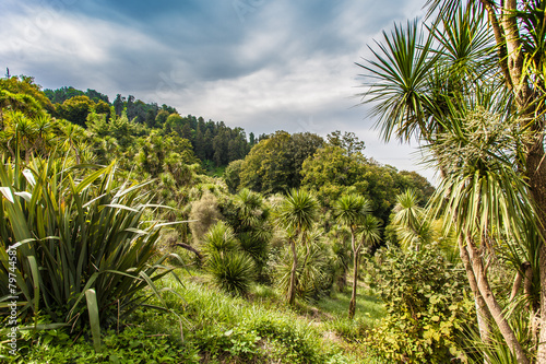 Wallpaper Mural Botanical Park near sea Torontodigital.ca
