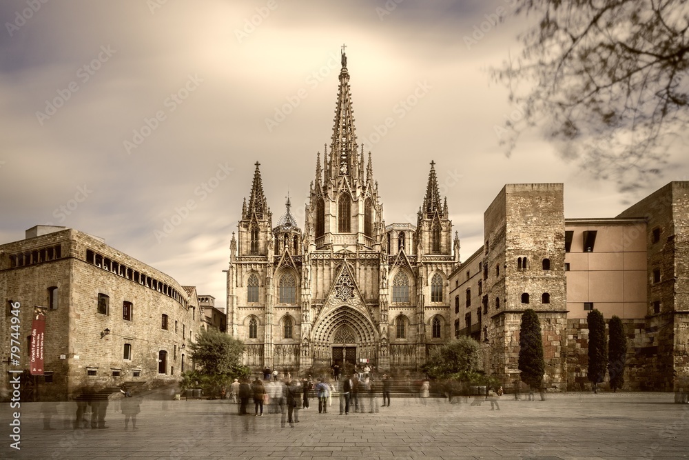 The Barcelona cathedral, Catalonia, Spain