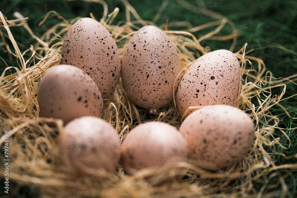 Obraz premium Easter eggs