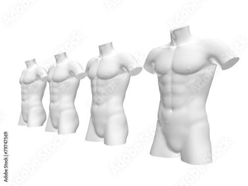 Male body structure