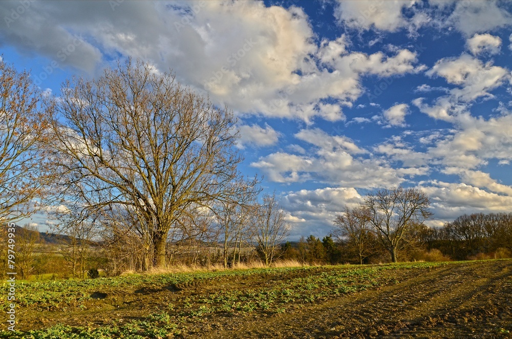 March field