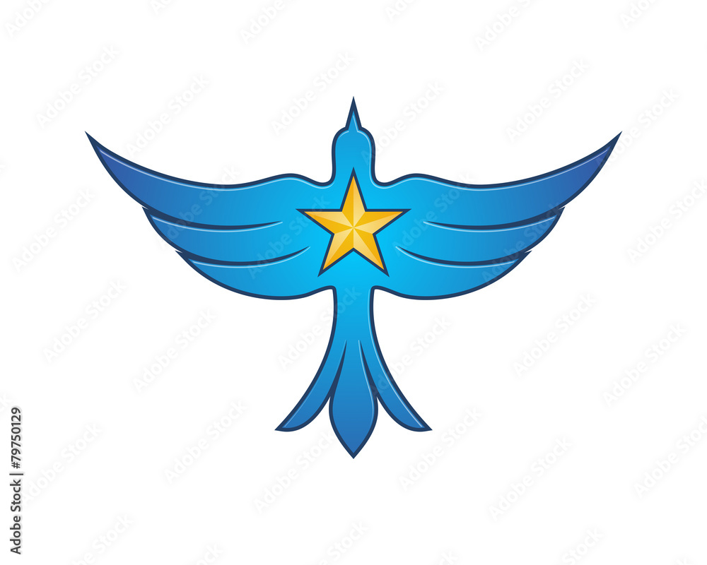 Obraz premium Falcon Star