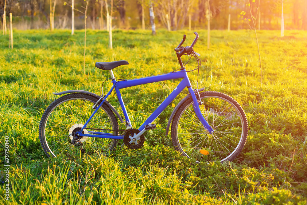 New mountain bicycle in park at sunset