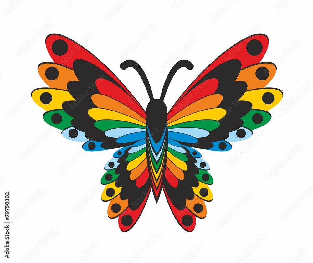 Butterfly Butterfly