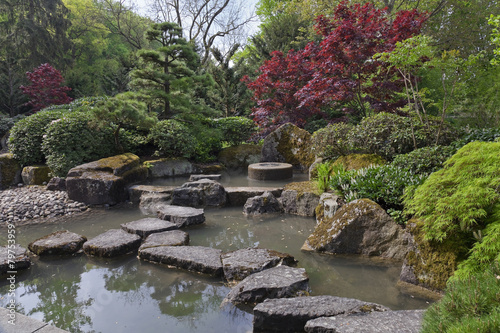 Fototapeta Naklejka Na Ścianę i Meble -  Japanischer Garten mit Teich