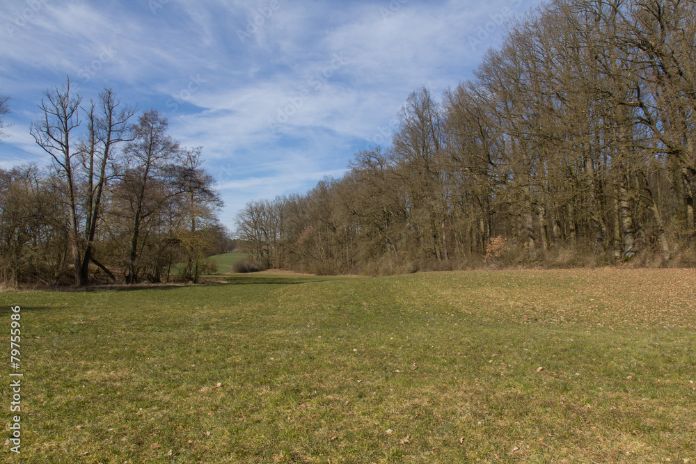 Fototapeta premium spring landscape in bavaria