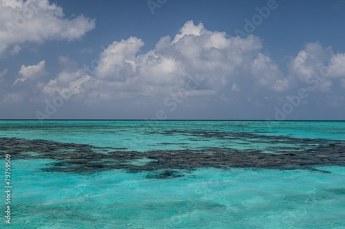 Sea, Reef, and Sky