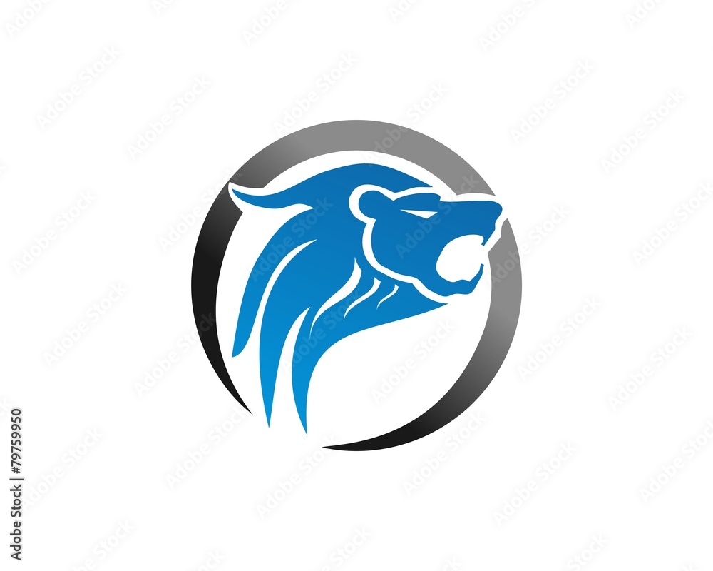 Fototapeta premium lion