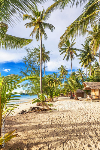 Cheap bungalows on a tropical beach © Kushch Dmitry