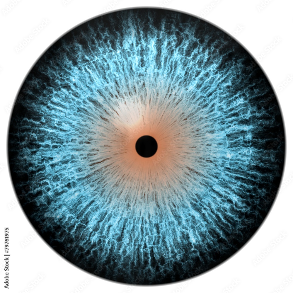 Strange eye of dangerous animal with colored iris. Detail view Strange eye of dangerous animal with colored iris. Detail view