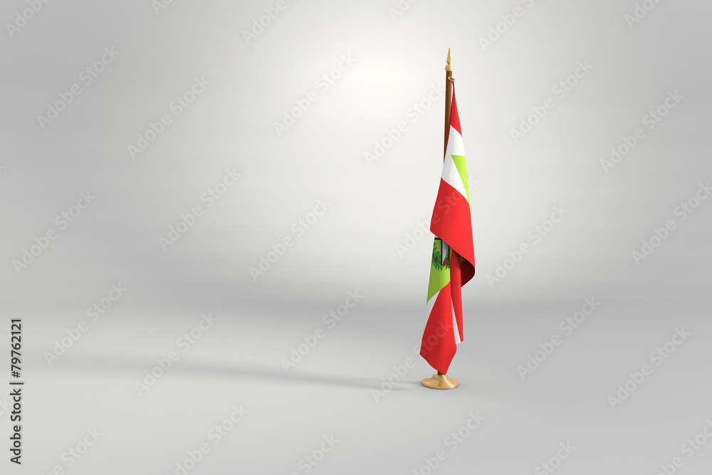 Santa Catarina isolated flag on a wooden mast 3d illustration