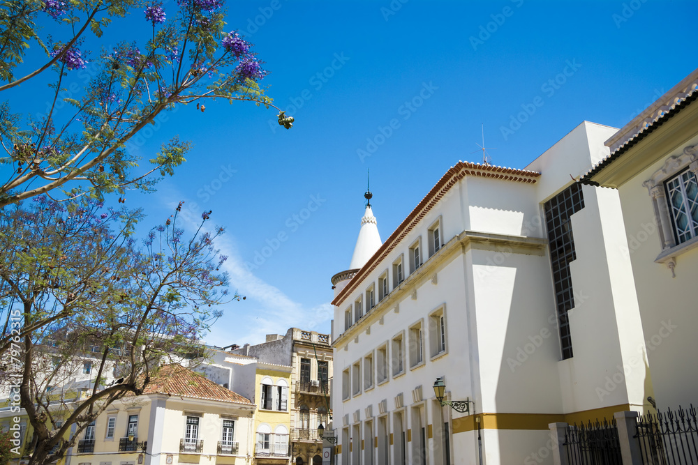 Obraz premium The street in historic center of Faro Portugal.