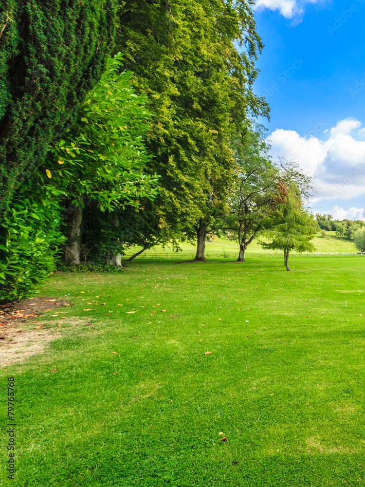 Countryside view of green field. Nature landscape