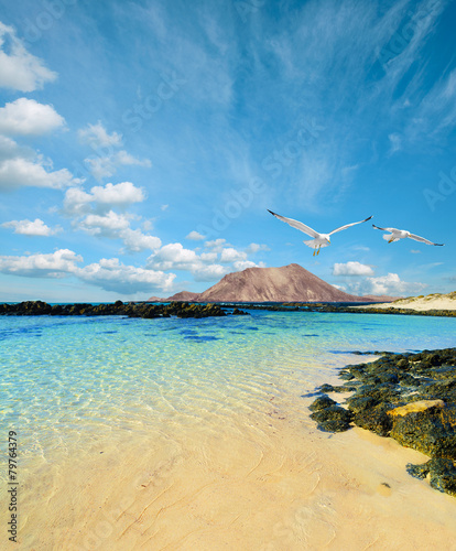 Wild seashore in Fuerteventura photo