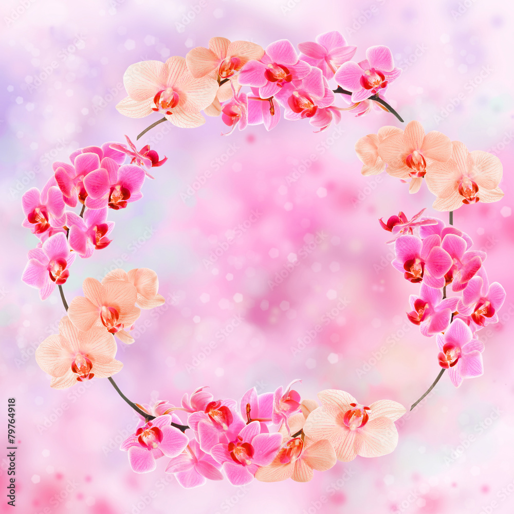 Frame made from orchid blossoms on abstract background